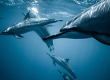 开云体育-“齐鲁超赛”即将开赛！烟台队主场迎两强